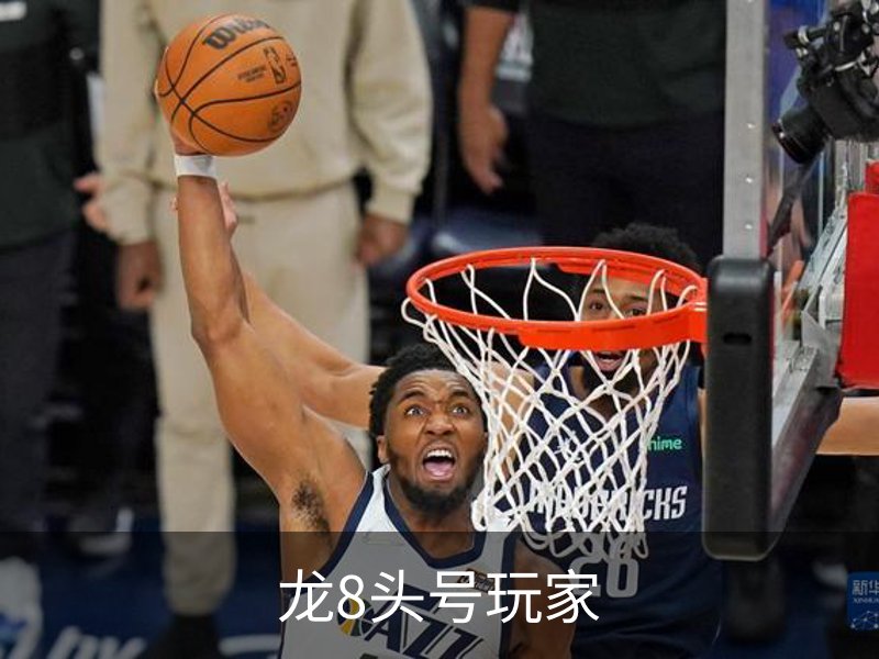 了解龙8头号玩家
